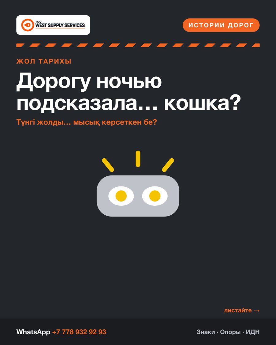 Дорогу ночью подсказала… кошка?